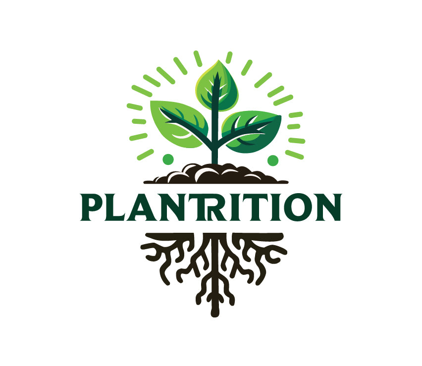 Plantrition Protein Flour | 52% Protein | Source: Peanut, Wheat | High fiber | Nutty taste | Naturally present vitamin and minerals